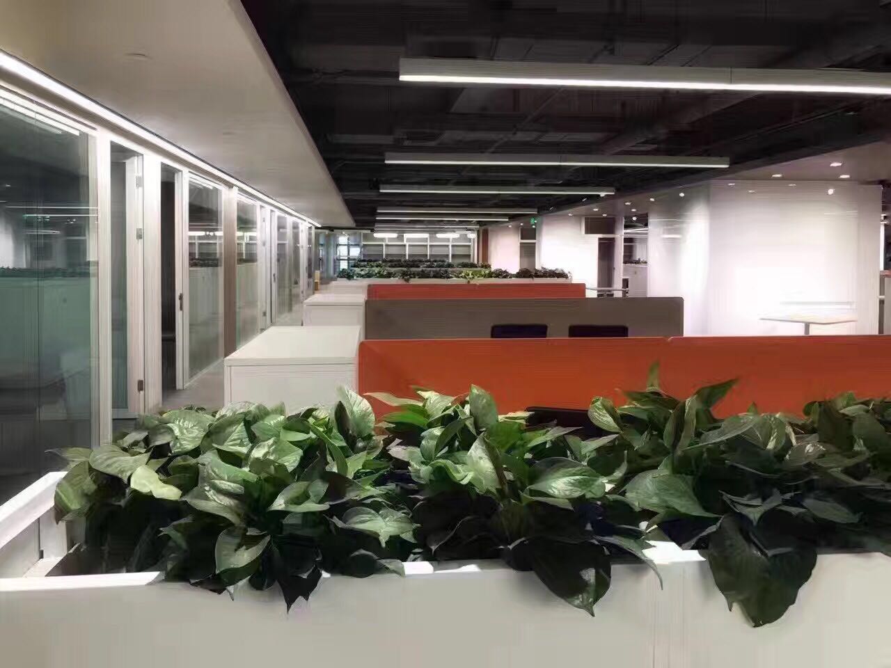 汇付天下总部大楼